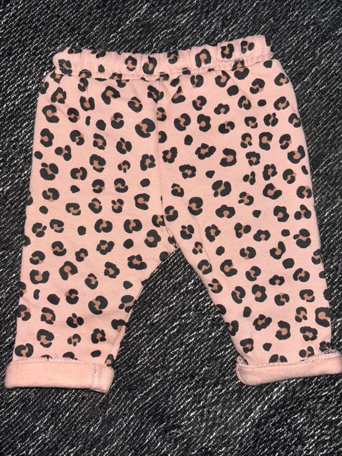 Jogging bébé - photo numéro 2