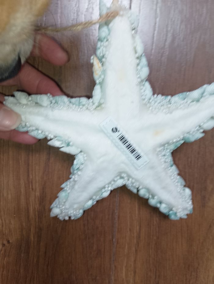 Etoile de mer en coquillages en perle à suspendre - photo numéro 2