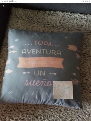 Coussin décoratif déhoussable très bon état