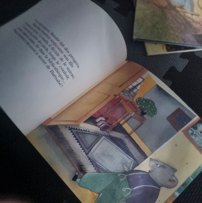 Livre enfant (Barnabé veut lire !) Dès 5ans - photo numéro 10