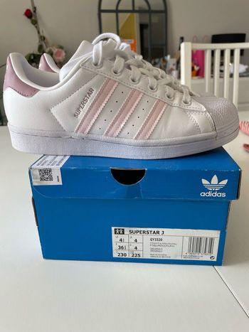 Superstar rose 36 2/3