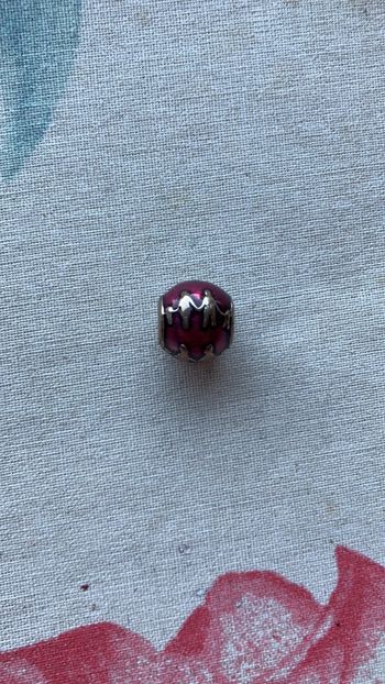 Pandora charms  famille