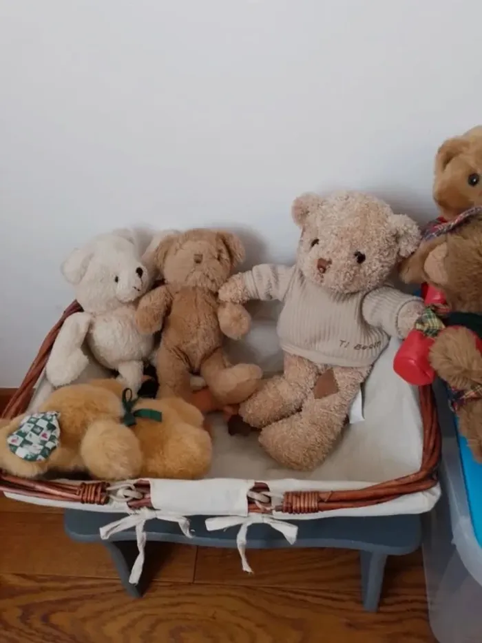 La famille Ours au grand complet. Qui l'adoptera pour la vie ? - photo numéro 7
