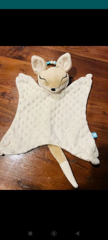 Myhummy Renard