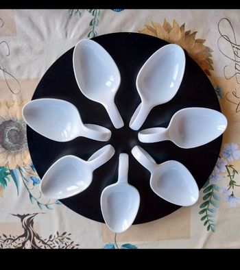 Plateau apéritif tournant plus 7 cuillères 8 euros