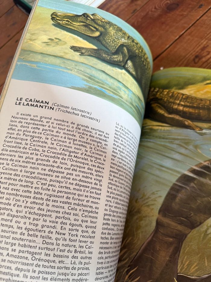 Lito Roby Grand livre illustrations Robert Dallet ancien vintage Faune du nouveau monde d’Amerique - photo numéro 9