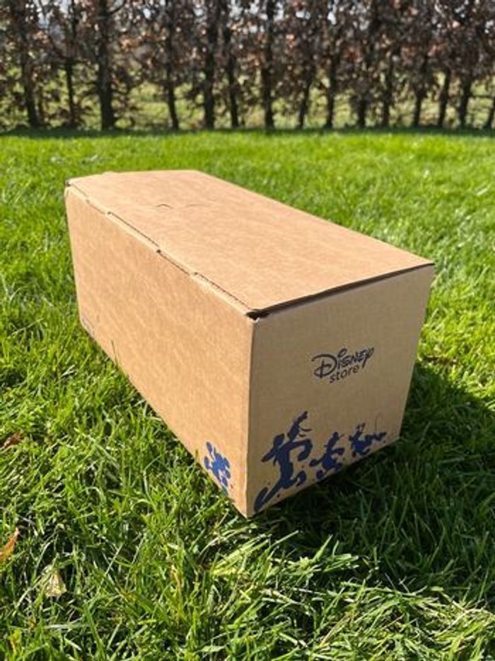 Pin's Mickey l'apprenti sorcier en édition limitée, Fantasia - photo numéro 5