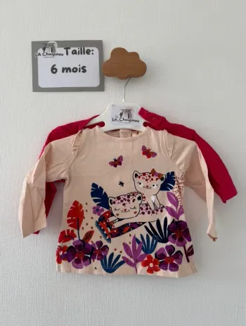 Lot 2 tee shirts manches longues - taille 6 mois 🌸