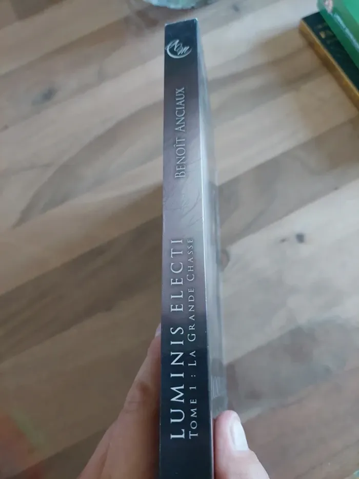 Luminis Electi, tome 1, de Benoît Anciaux - photo numéro 3
