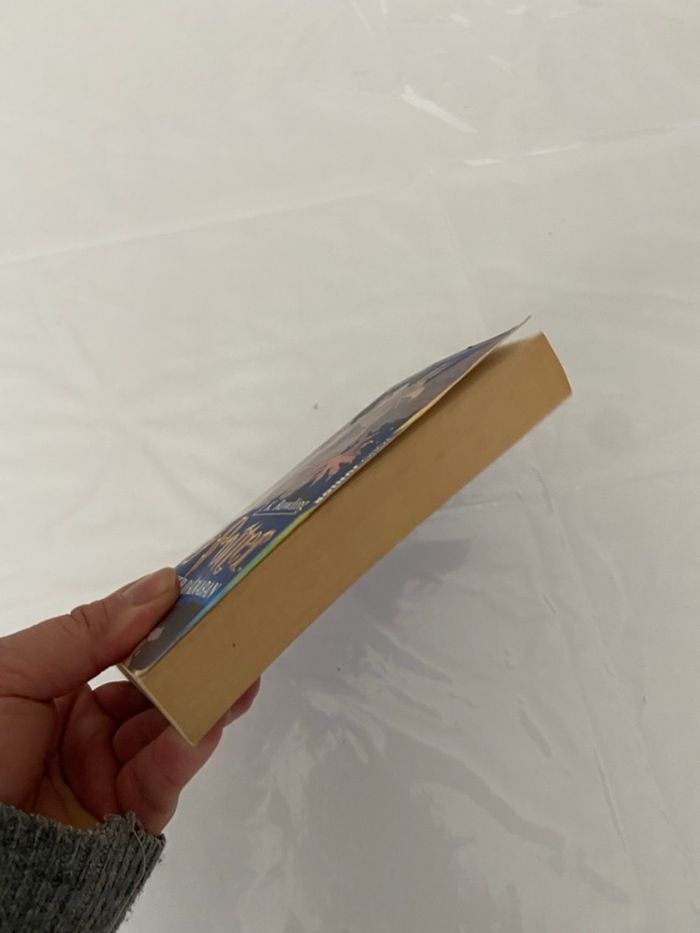 Livres Harry Potter et le prisonnier d'Azkaban - photo numéro 3