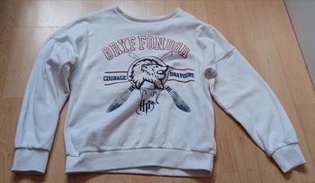 Sweat harry potter