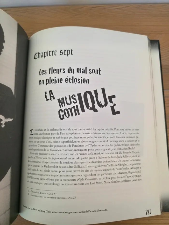 La culture des ténébres gothic - photo numéro 6