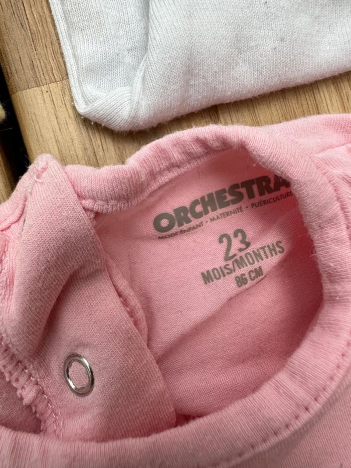 Lot 5 body - photo numéro 2