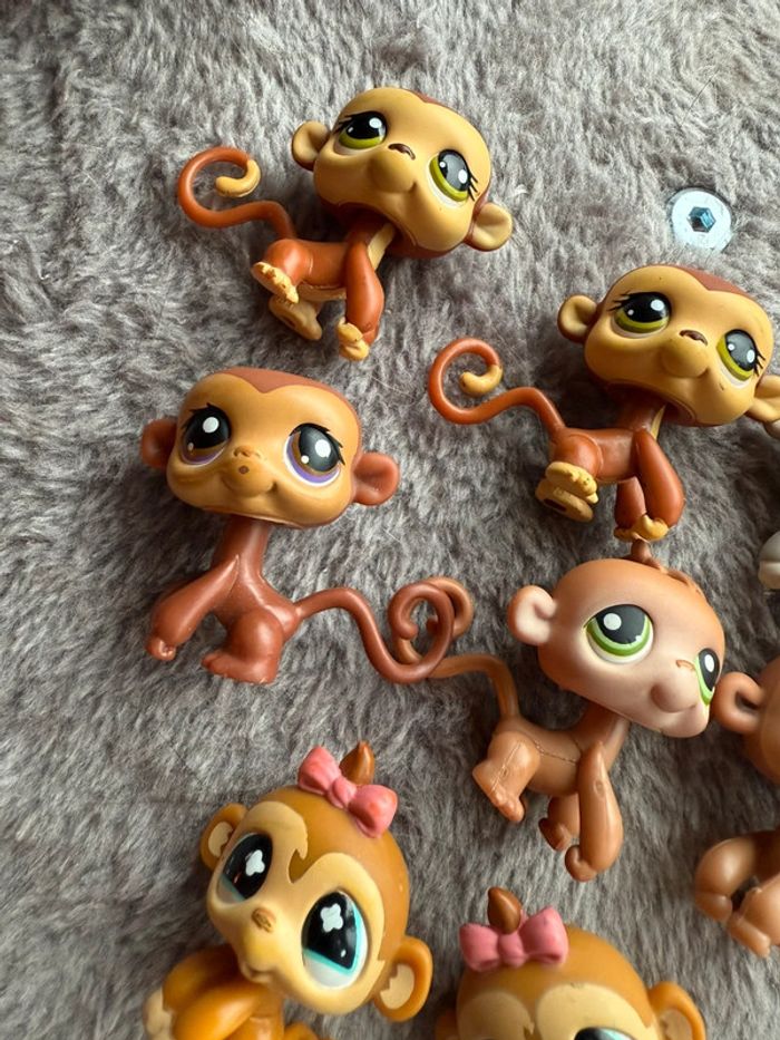 Lot petshop singe - photo numéro 4