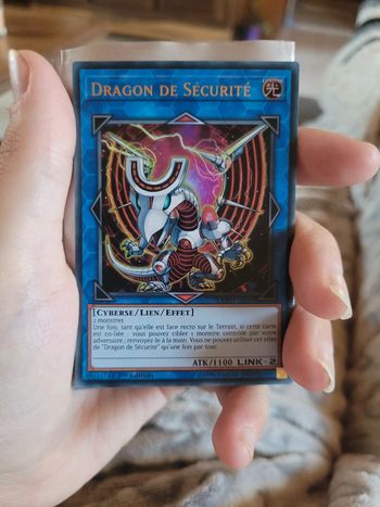 Carte dragon de sécurité