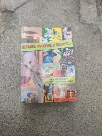Livre réparez, nettoyez et rénovez