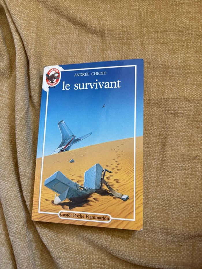 Le survivant