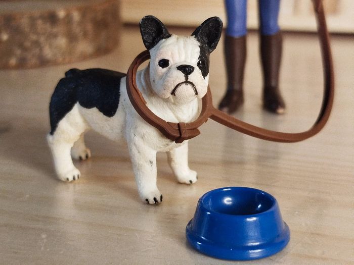 Schleich personnage Femme et son chien bouledogue français Figurine Animal domestique - photo numéro 2