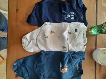 Lot Body