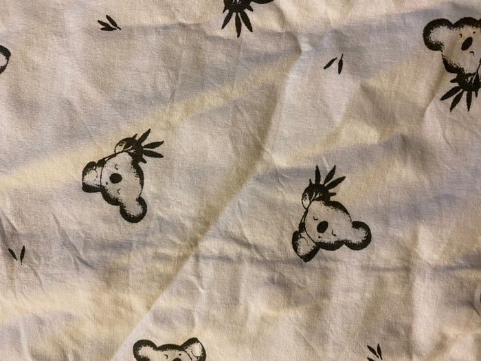 Top Koala - 10/12 Ans - photo numéro 3