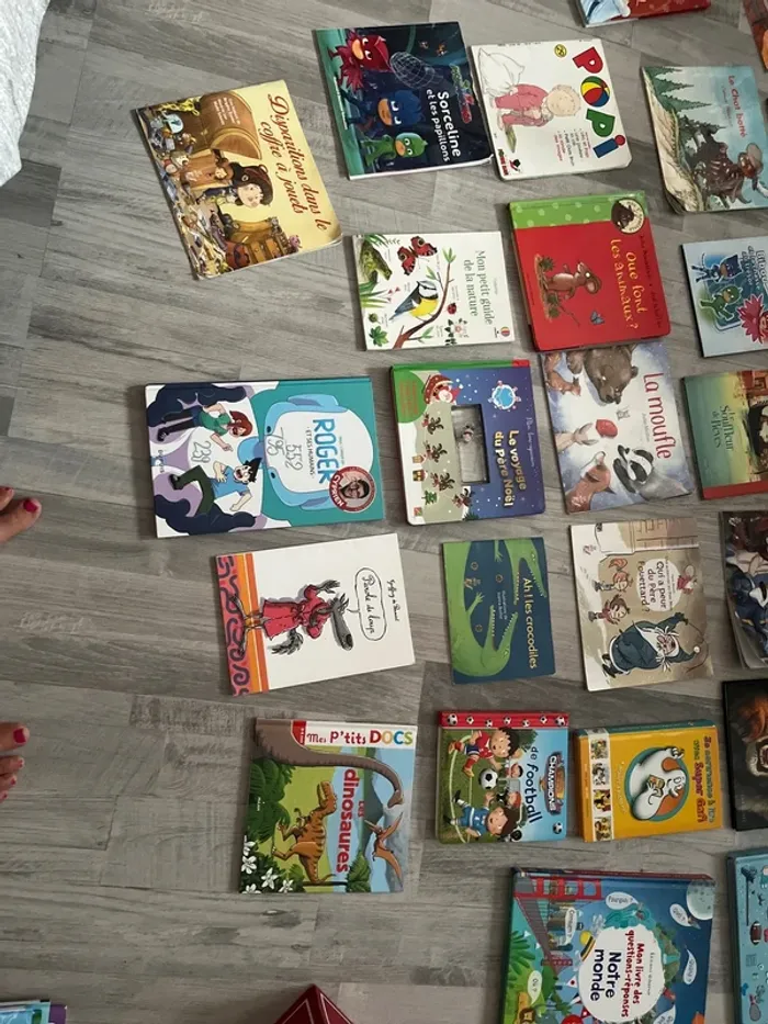 Lot de livres - photo numéro 5