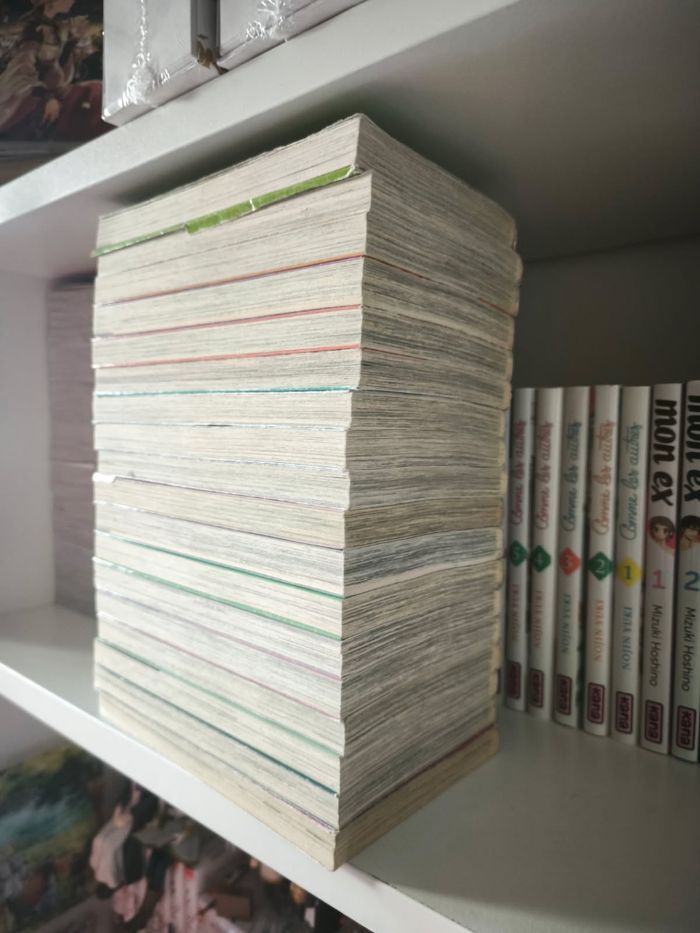 Fruits basket 1-17+21 - photo numéro 7