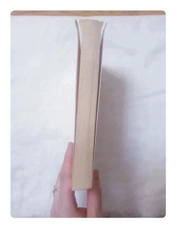 Livre La tournante - photo numéro 3