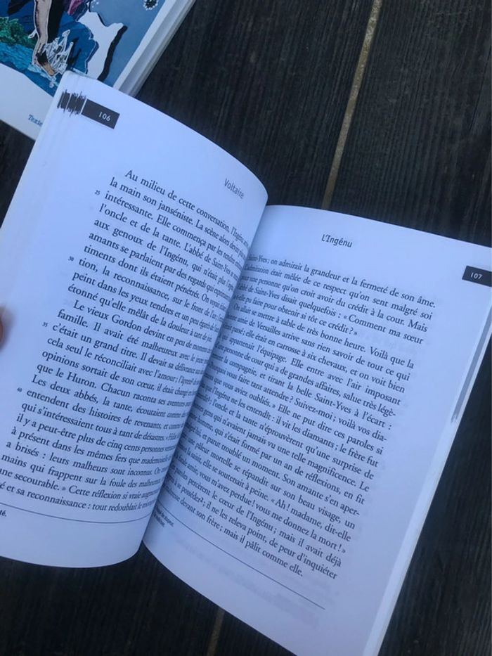 Lot de Livres De Voltaire - photo numéro 4