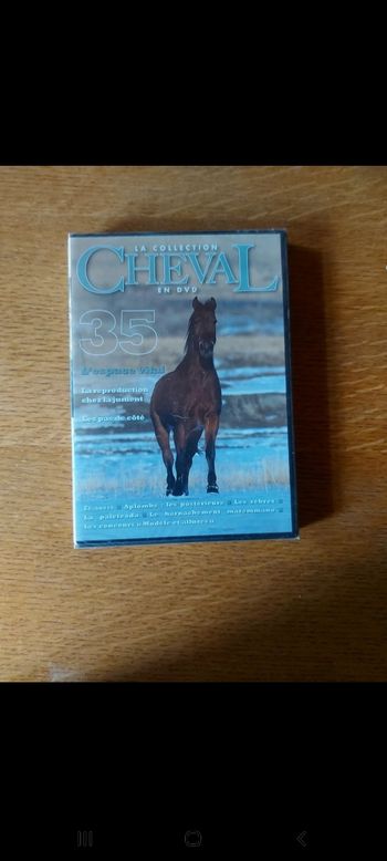 DVD