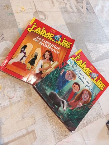 Lot de 2 livres collection j'aime lire