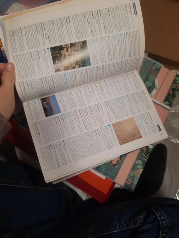 Dictionnaire adulte - photo numéro 10