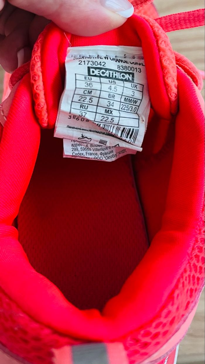 Basket - photo numéro 2