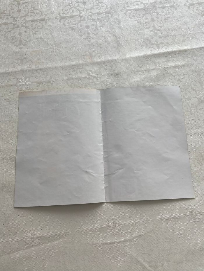 Jaquette DVD la fée clochette - photo numéro 4