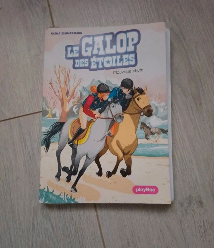🐎 Lot de 2 livres équitation 🐎 - photo numéro 2