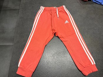 Jogging Adidas