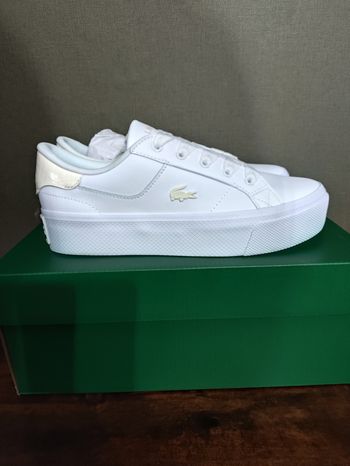 Basket Lacoste