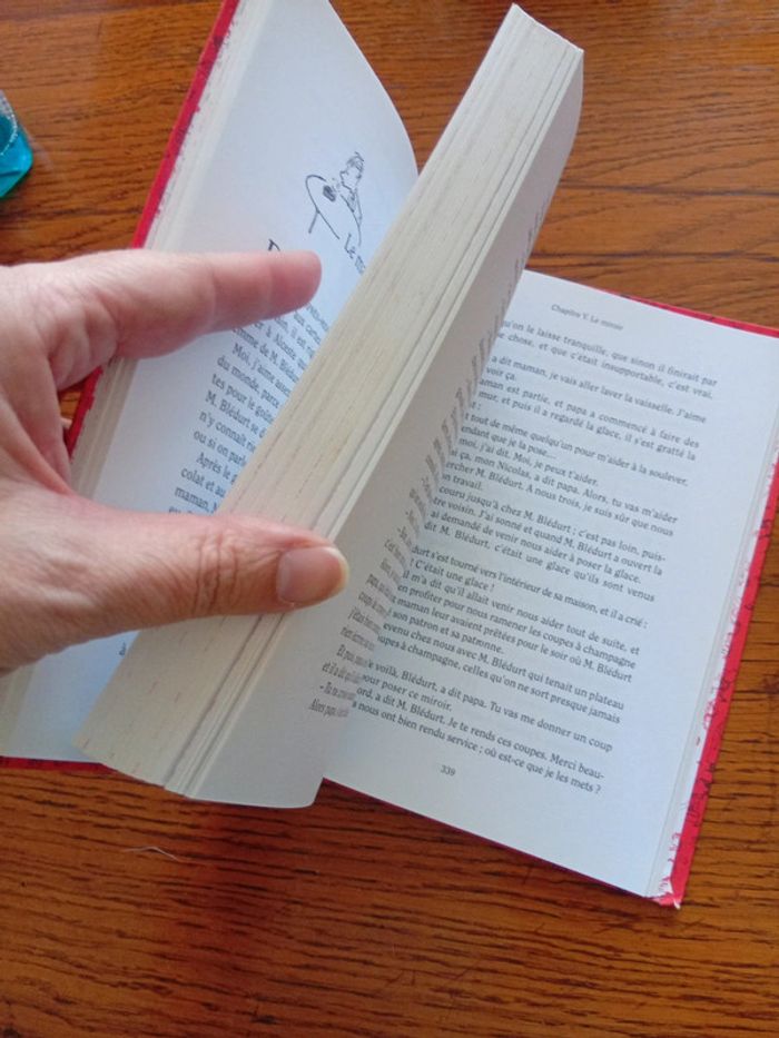 Livre histoires inédites du petit Nicolas - photo numéro 4