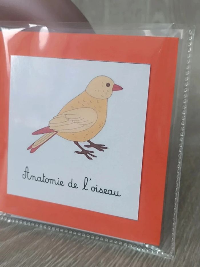 Cartes de nomenclature de l'oiseau - photo numéro 5