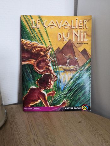🌺Roman Le cavalier du Nil de Alain Surget🌺