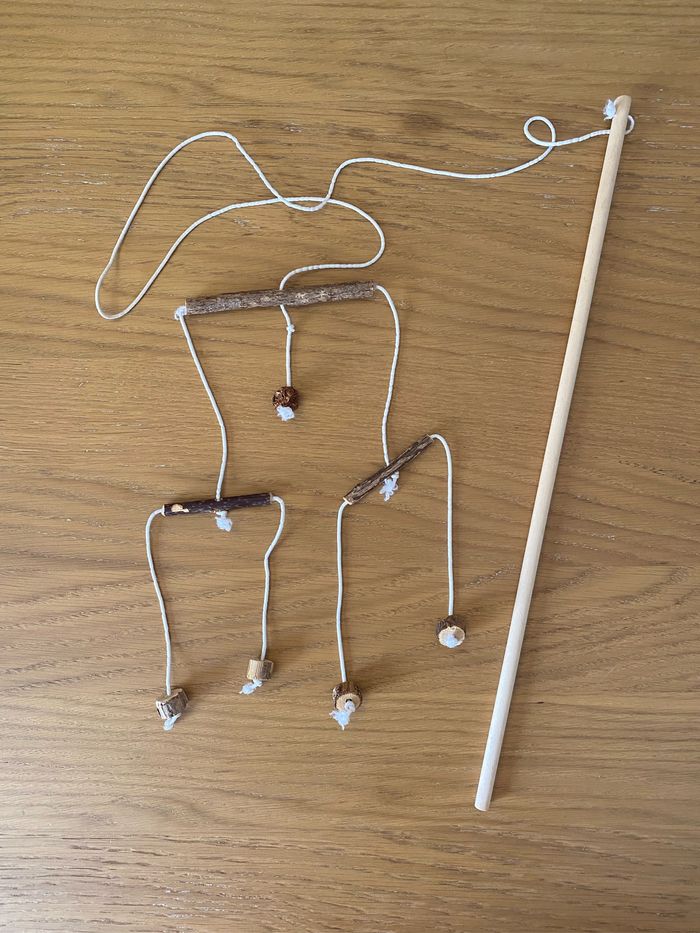 Canne à pêche avec sticks pour chat de compagnie - photo numéro 2
