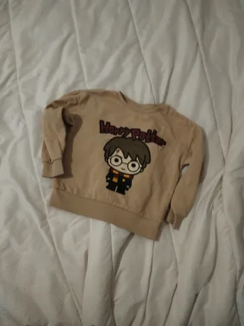 Pull Harry Potter