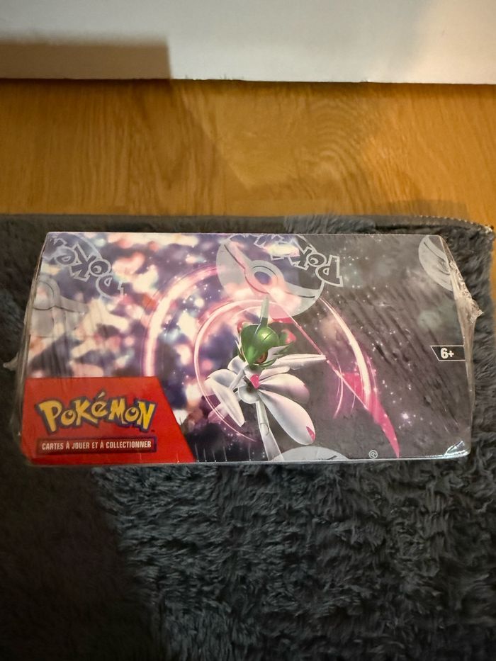 Display Faille Paradoxe ev 4.0 Pokémon - photo numéro 6