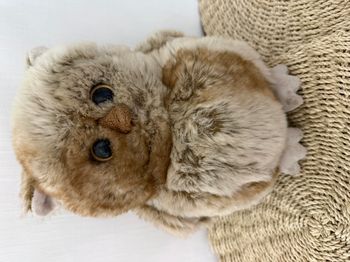 Peluche Hibou chouette beige marron BUKOWSKI