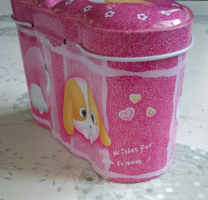 Tirelire fille - photo numéro 3