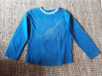 Tshirt manches longues Dinosaure 6 ans
