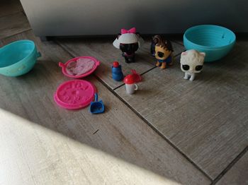 Animaux lol surprise