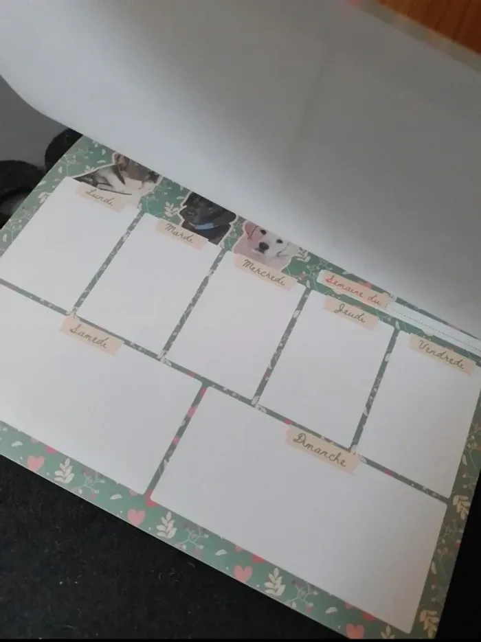 Emploi du temps en papier - photo numéro 4