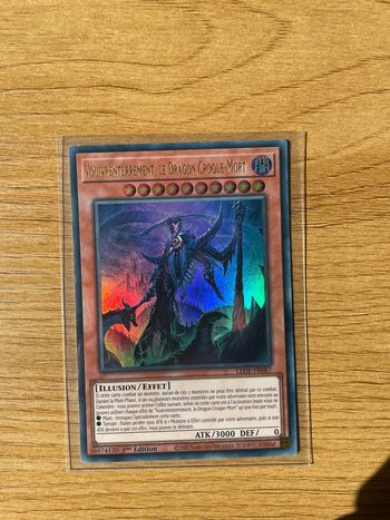 Carte Yu-Gi-Oh! : Vouivrenterrement, Le dragon croque-mort - LEDE-FR087