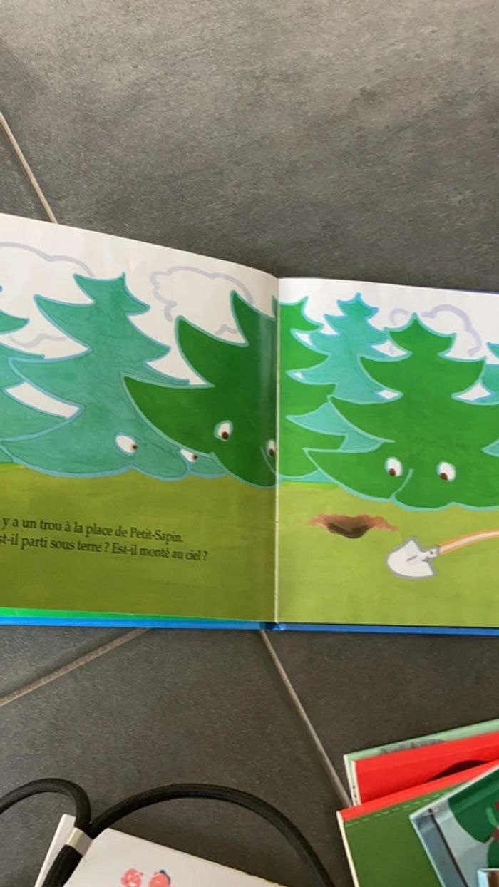 Noël de sapin - photo numéro 3