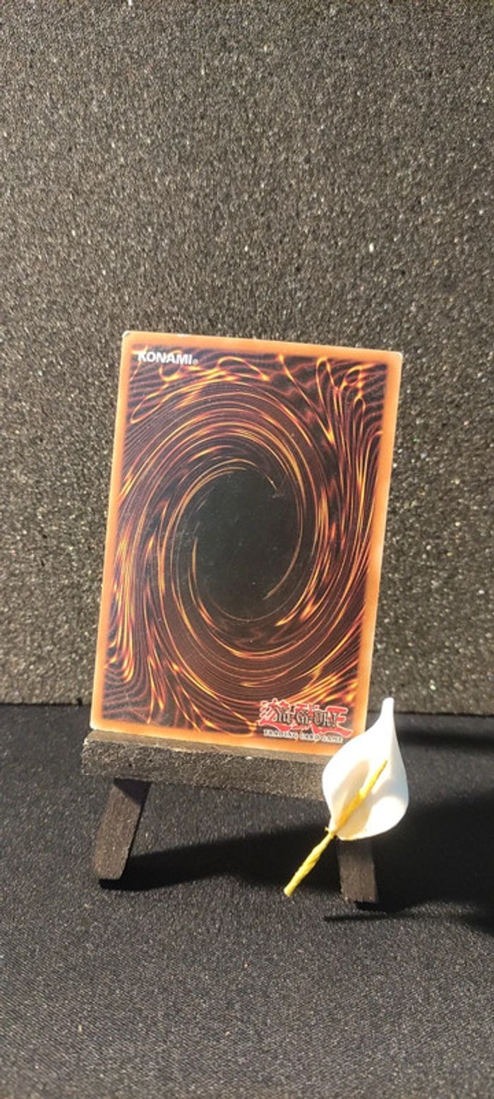 Carte Yu-Gi-Oh, Absorption de compétence - photo numéro 2